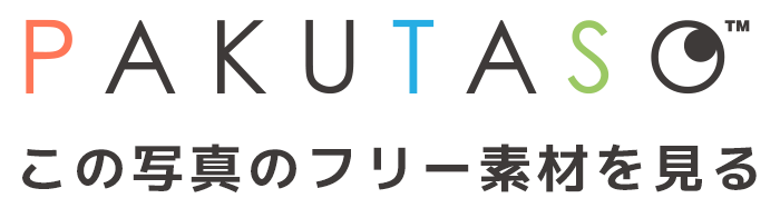 梅とメジロの高解像度版を見る