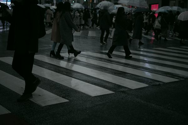 雨と週末の作例写真