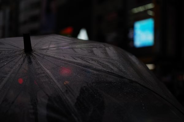 待ちぼうけの雨傘の作例写真