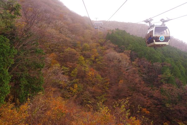 大涌谷へ向かうロープウェイと紅葉する斜面の作例写真