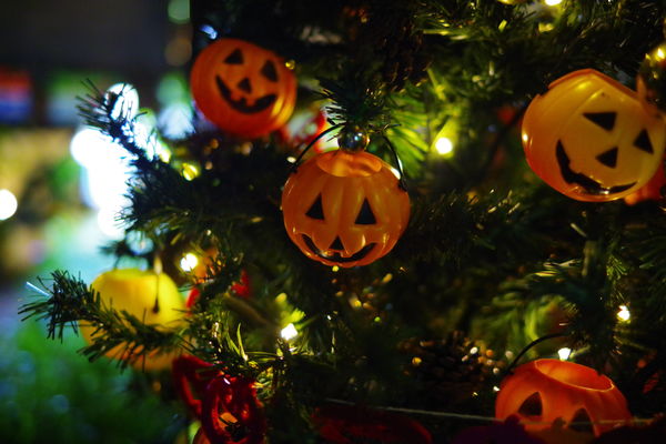 ライトアップされたハロウィンかぼちゃの作例写真