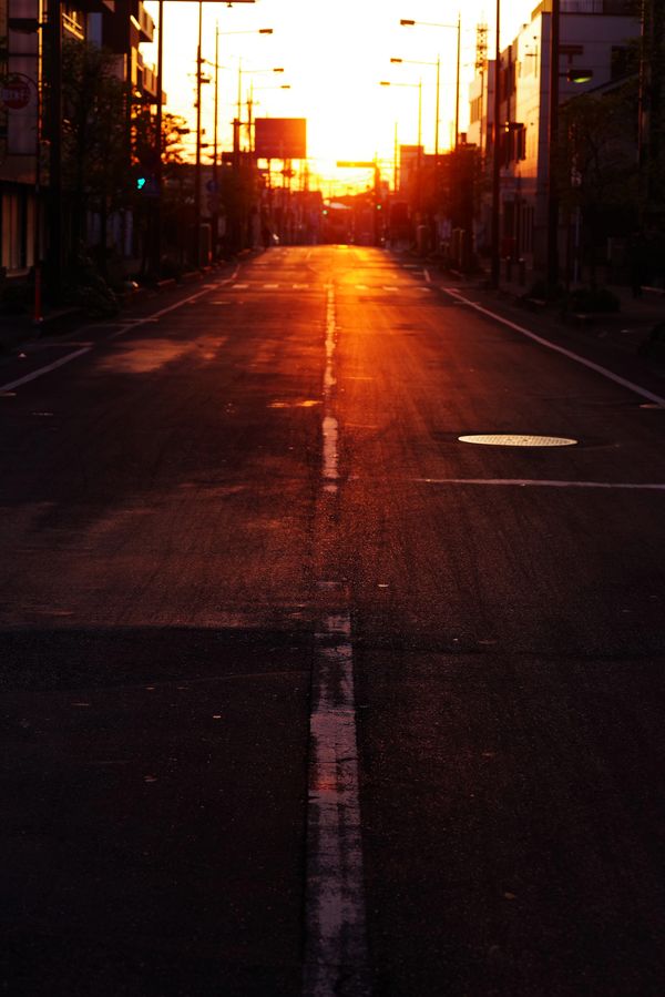 夜明けの直線の作例写真