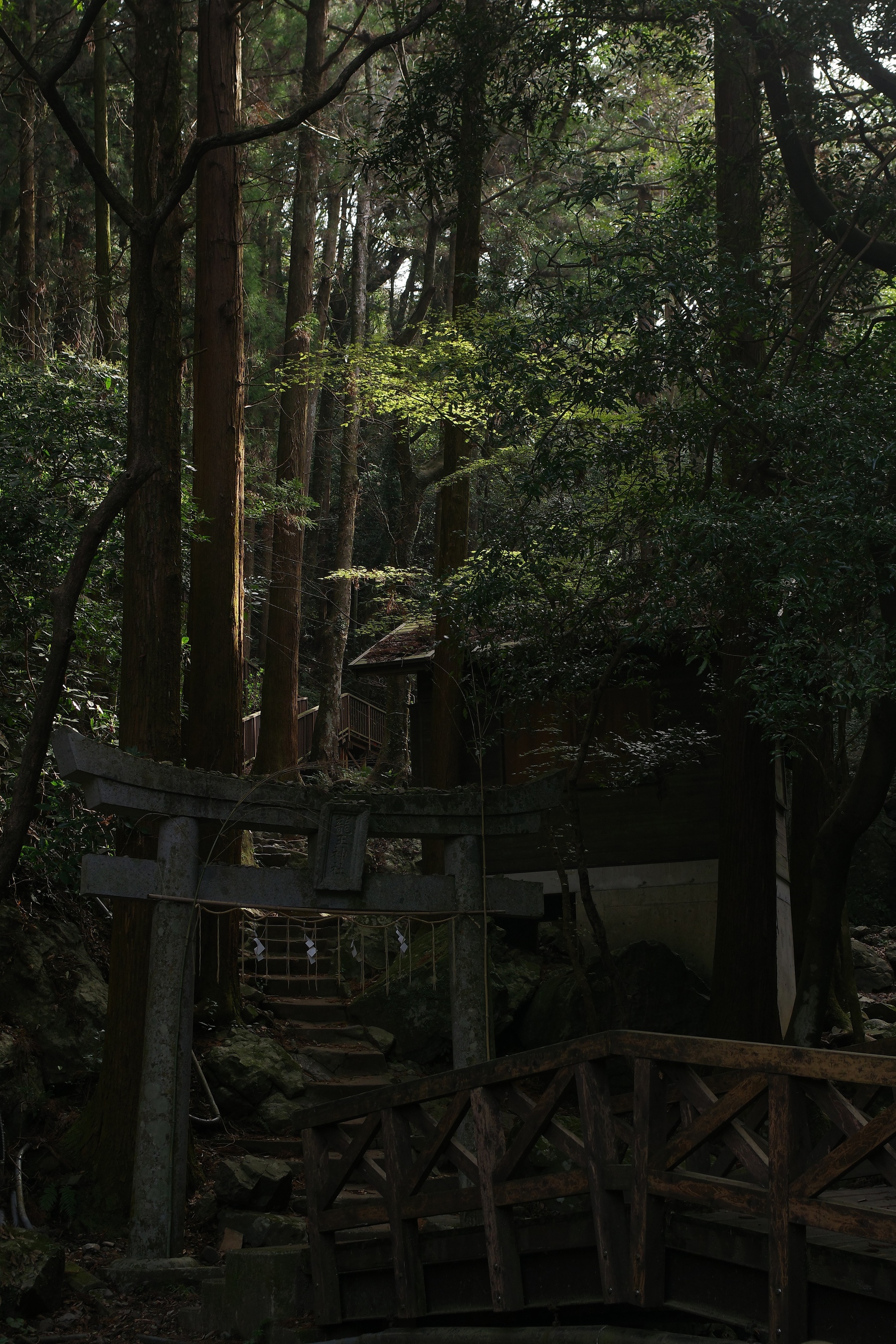 竜王峡キャンプ村の鳥居の作例写真