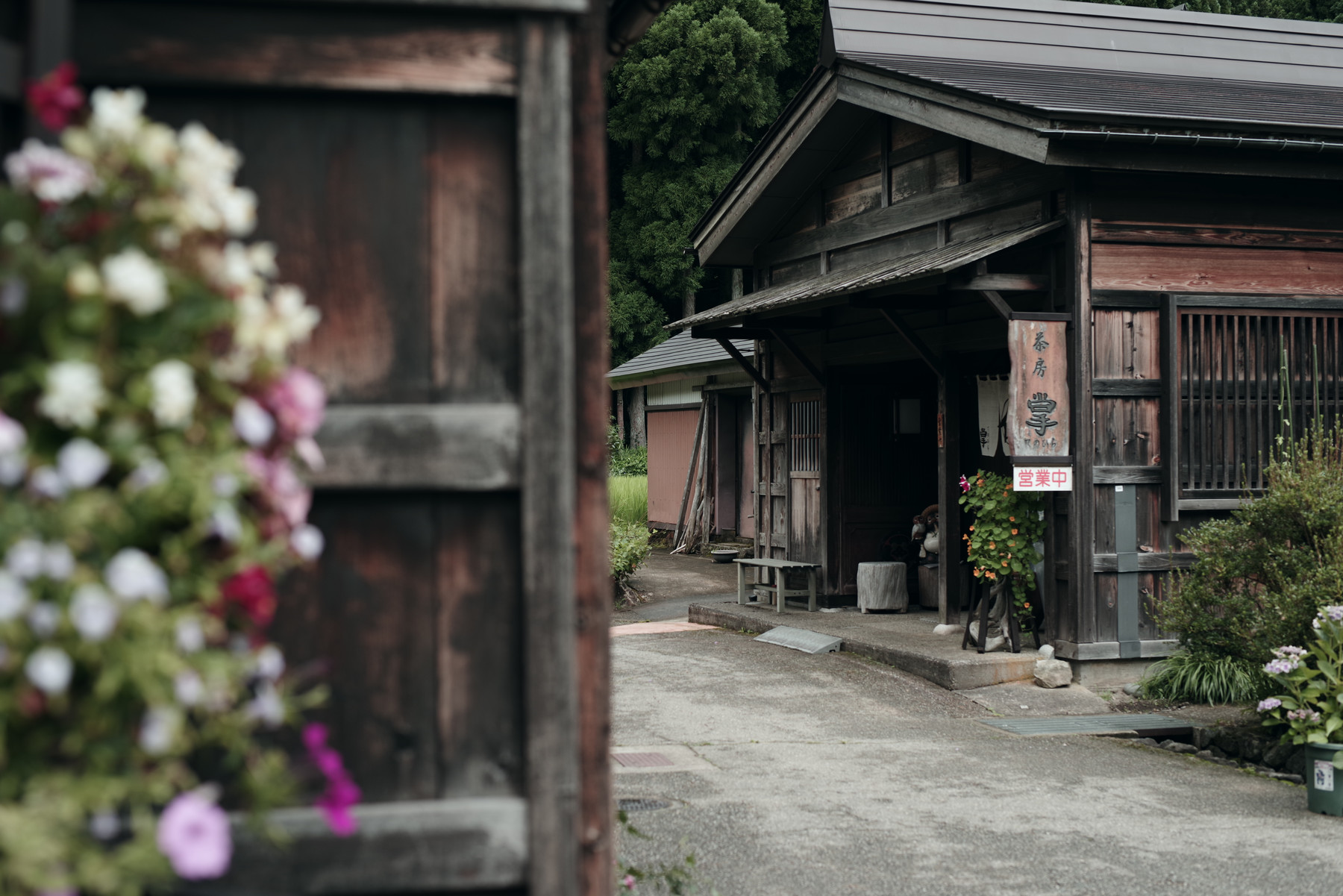 旅と単焦点 ─ スターレンズが切り取る旅の風景の写真