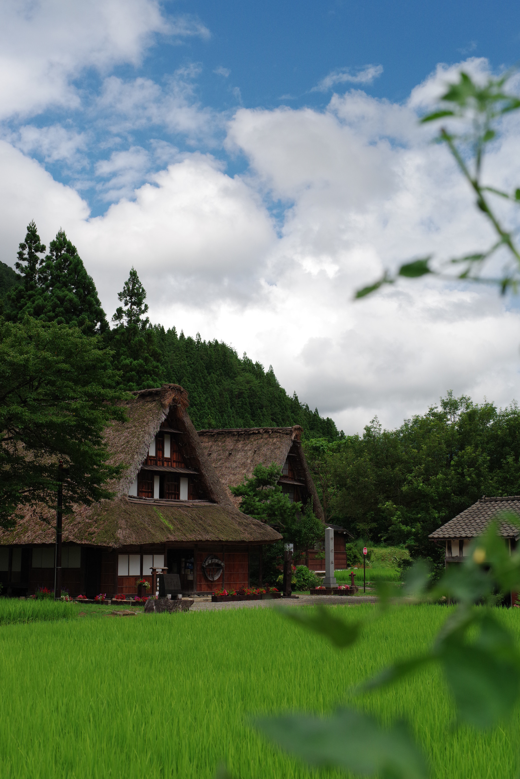 PENTAXで切り取る世界遺産 ─ 五箇山集落とその周辺（富山県南砺市）の写真