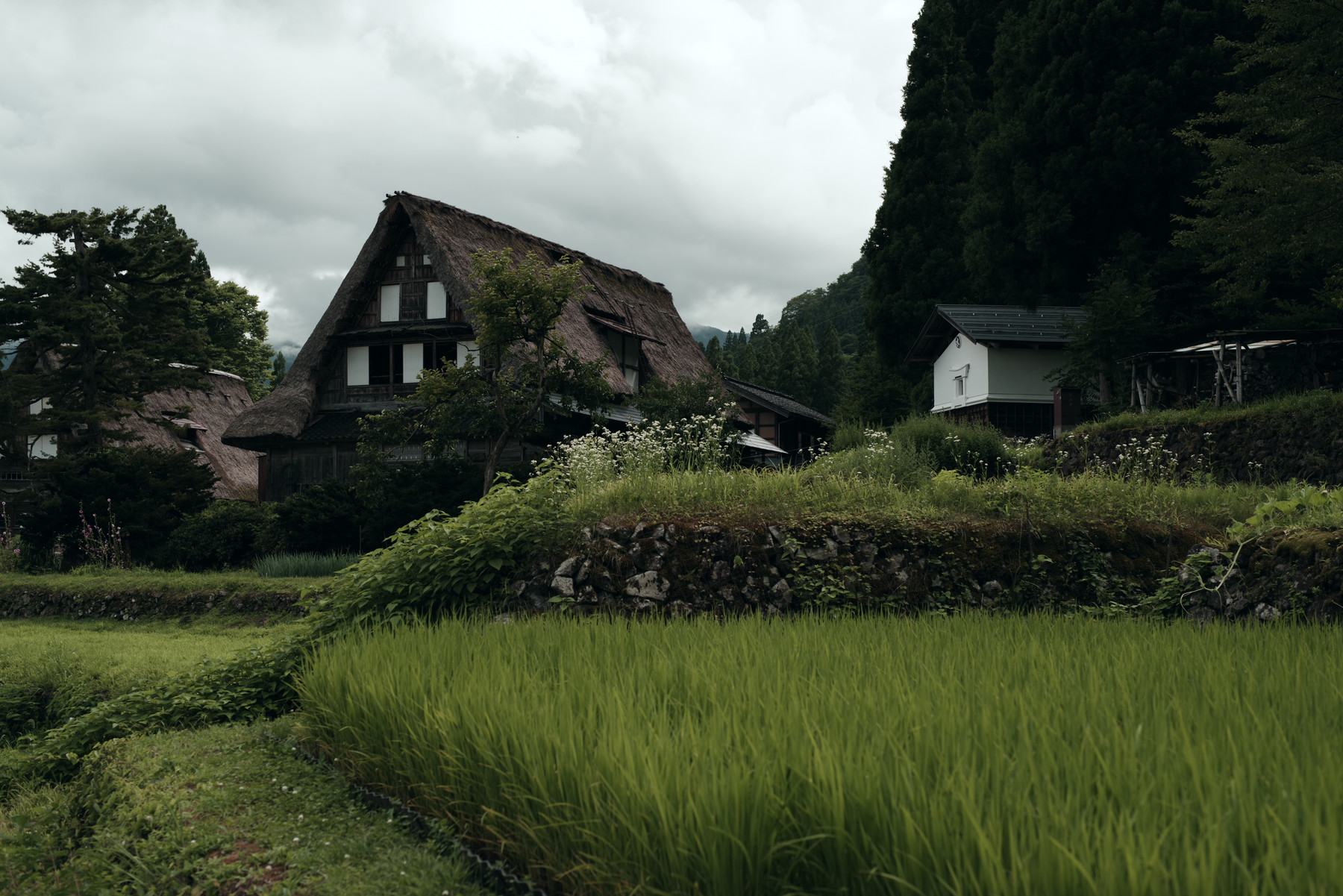 PENTAXで切り取る世界遺産 ─ 五箇山集落とその周辺（富山県南砺市）の写真