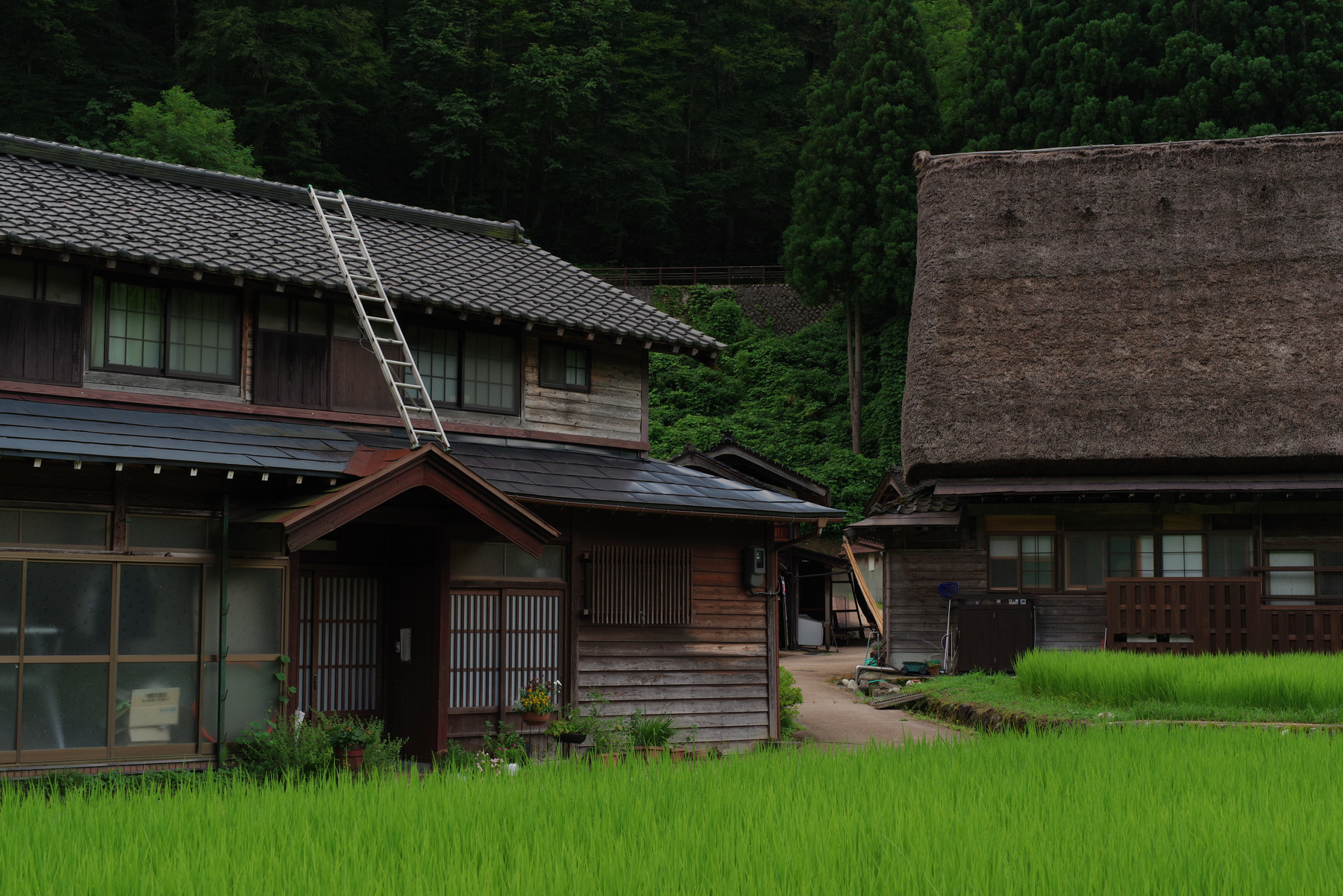 旅と単焦点 ─ スターレンズが切り取る旅の風景の写真