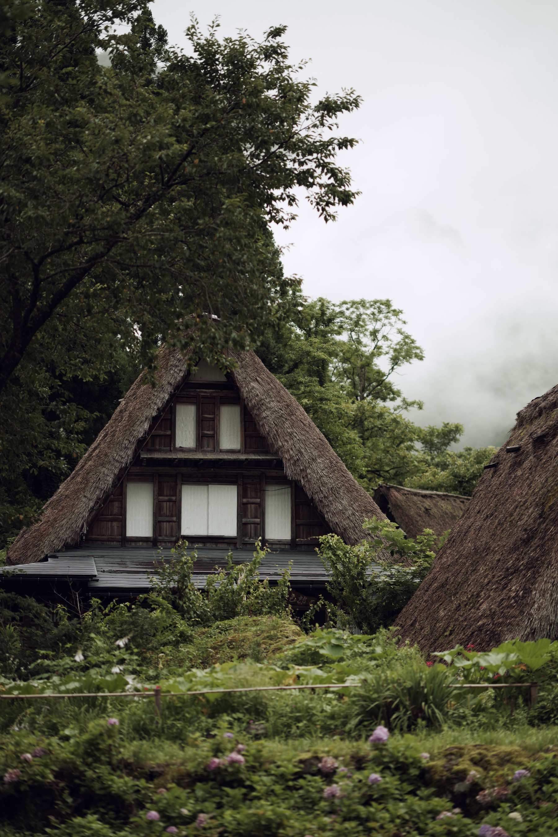 旅と単焦点 ─ スターレンズが切り取る旅の風景の写真