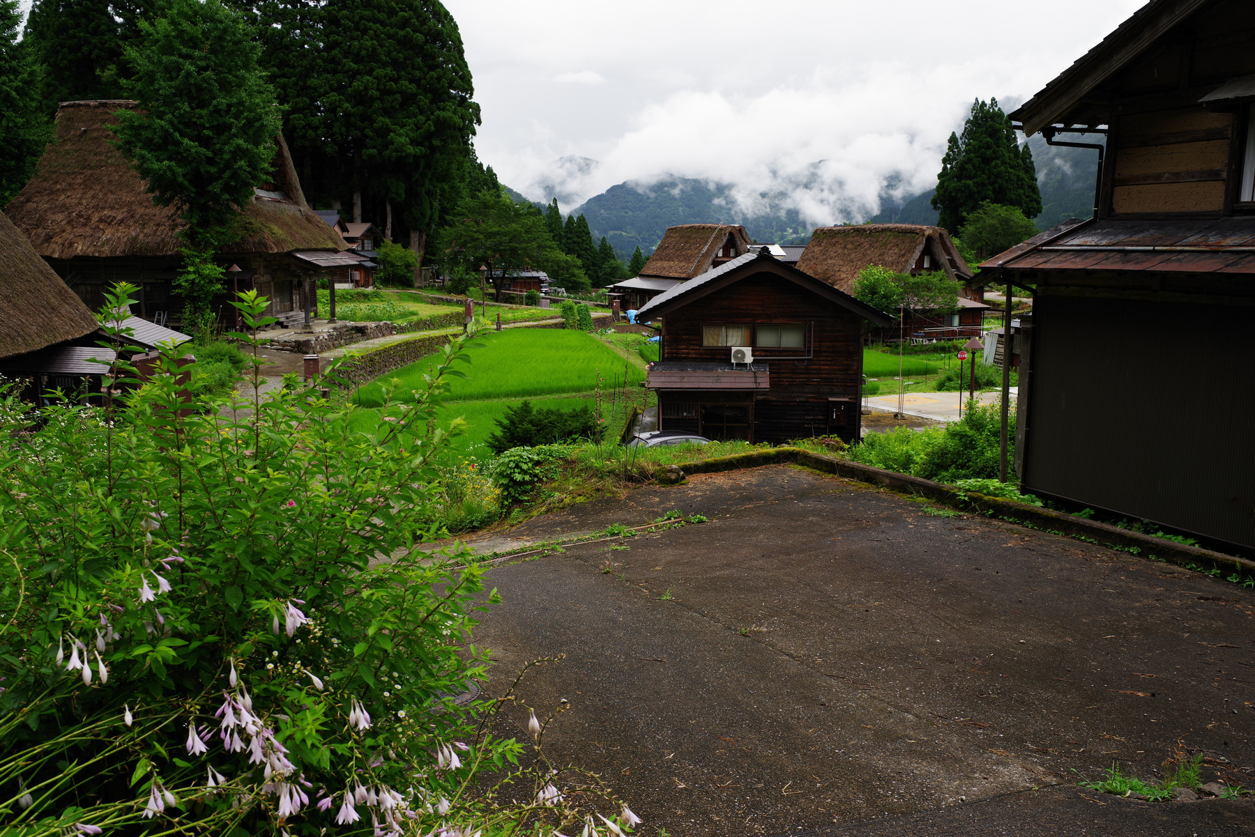 PENTAXで切り取る世界遺産 ─ 五箇山集落とその周辺（富山県南砺市）の写真