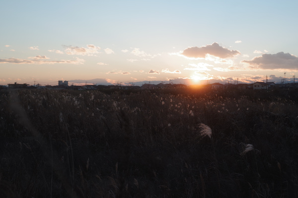 一日の終わりを告げる淡い夕陽の作例写真