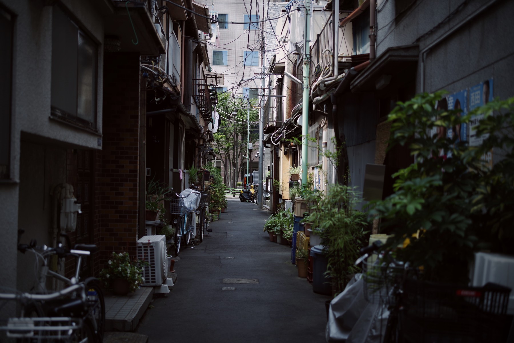 古い家屋が立ち並ぶ路地（月島）の作例写真