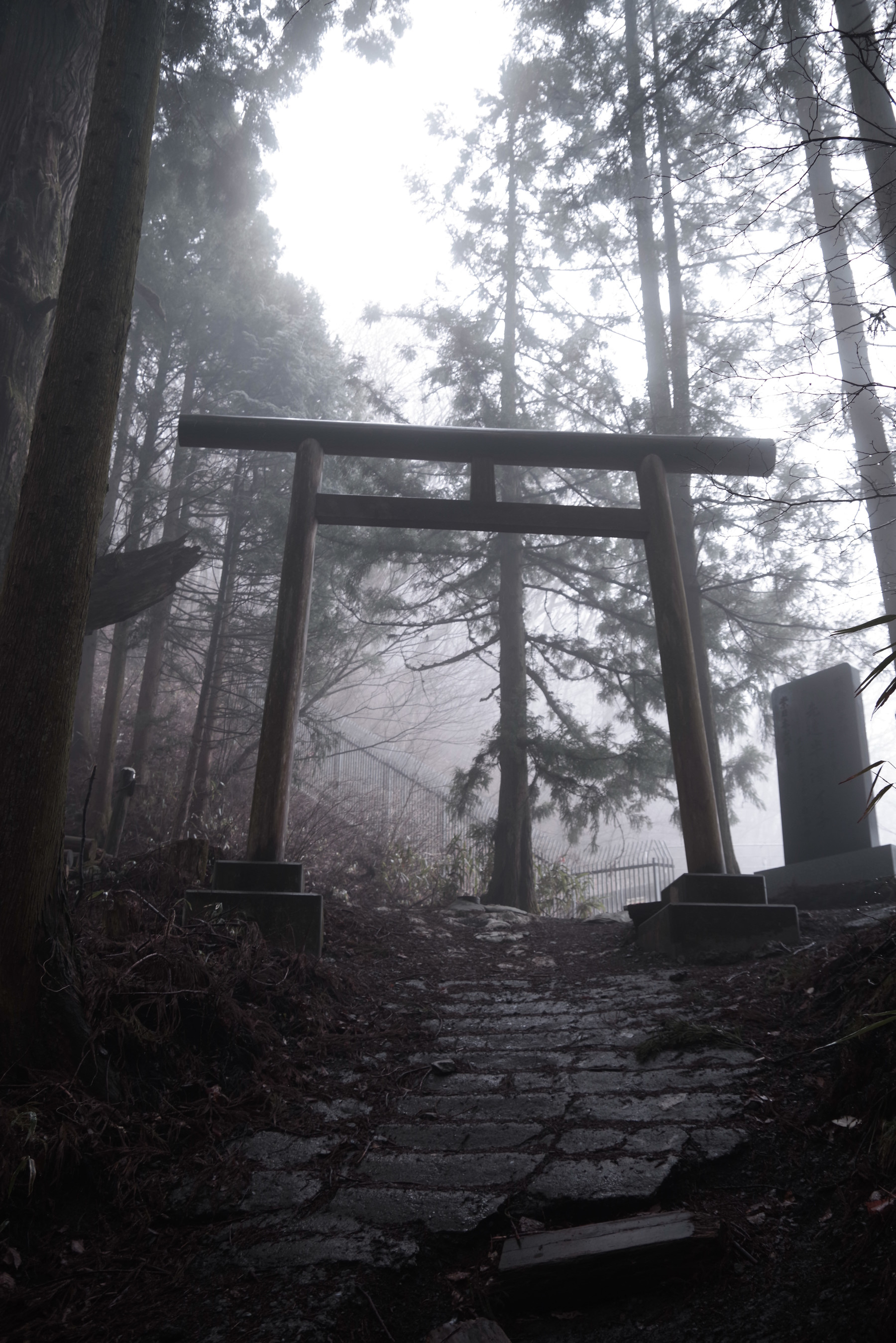 霧の中にたたずむ厳かな鳥居の作例写真