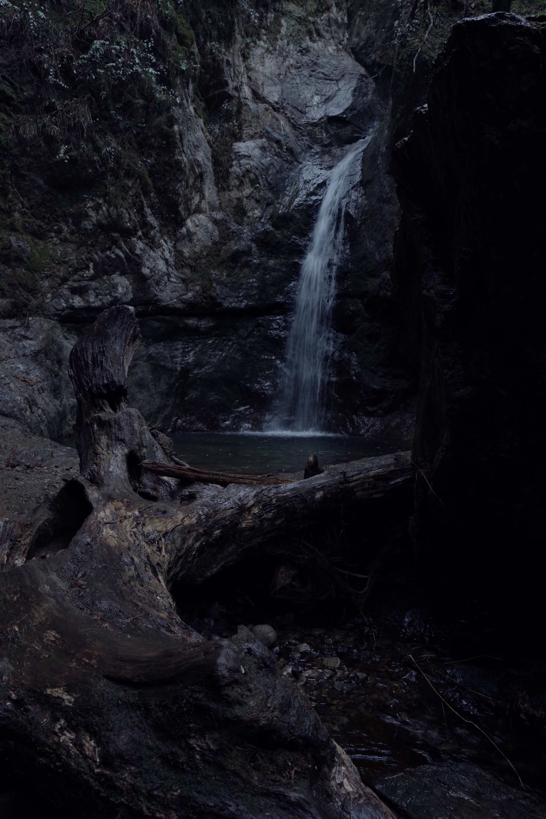 春雨に濡れる七代の滝の作例写真