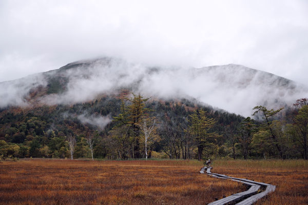 絵画的な風景を描く紅葉の尾瀬ヶ原（至仏山）の作例写真