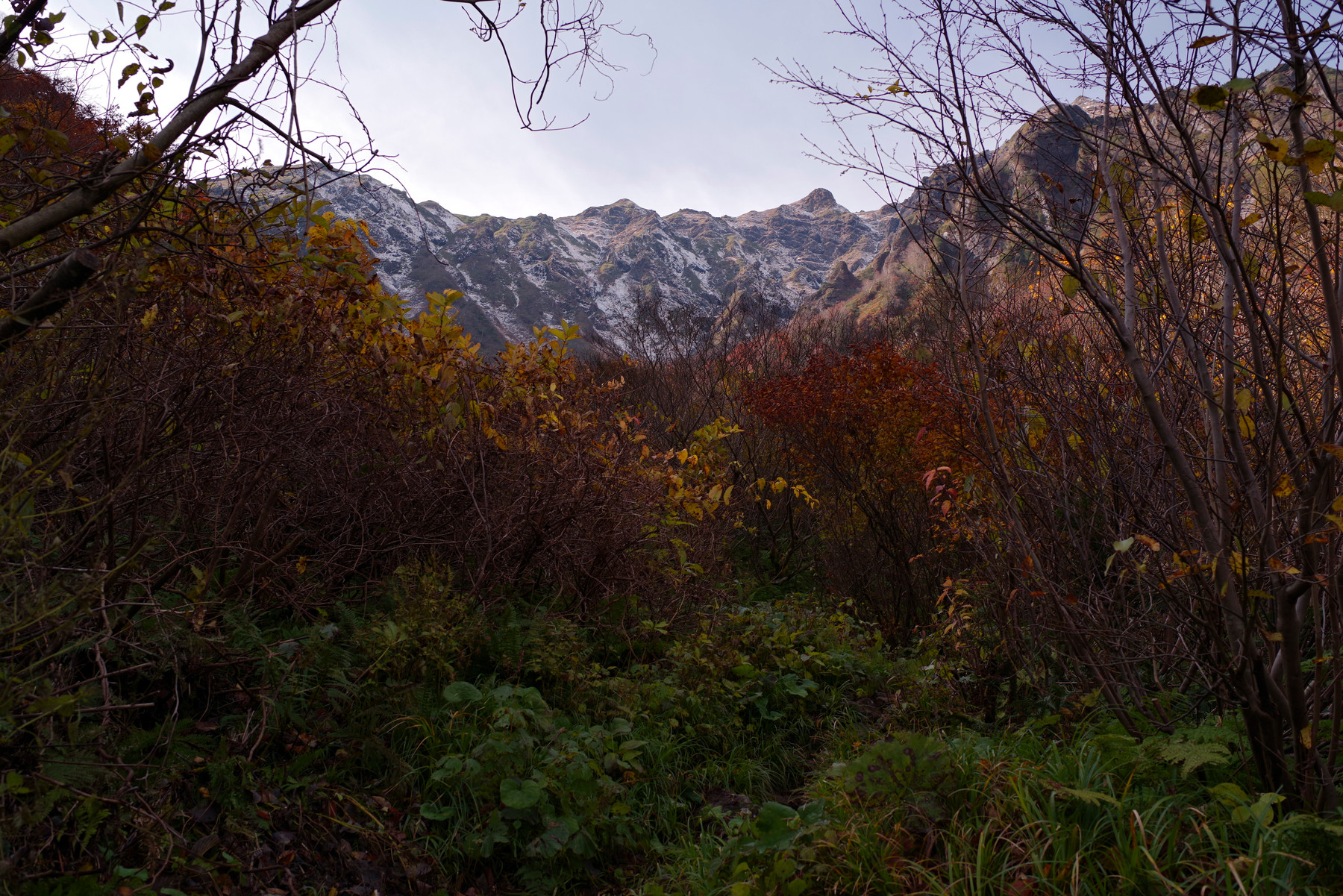 谷川岳厳剛新道の紅葉の作例写真