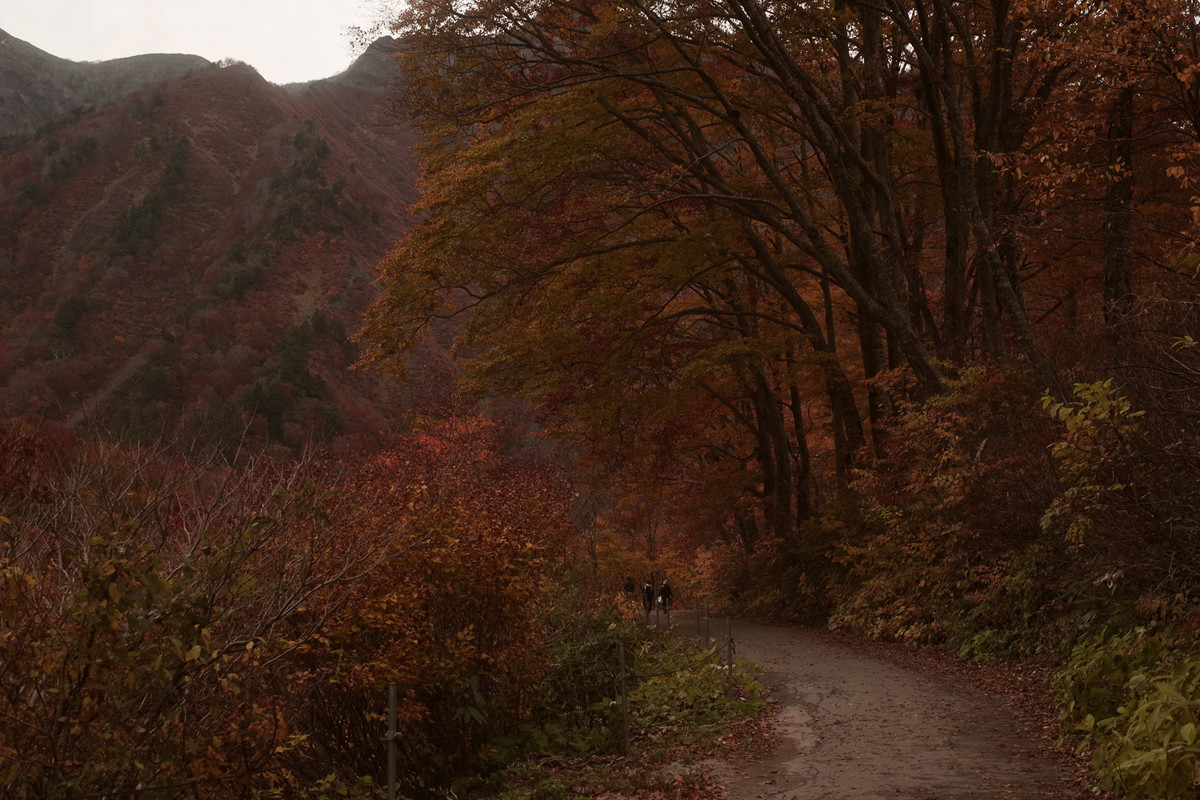 FA Limitedと★（スター）レンズは何が違うの？錦繍の谷川岳を撮り歩いてみたの写真