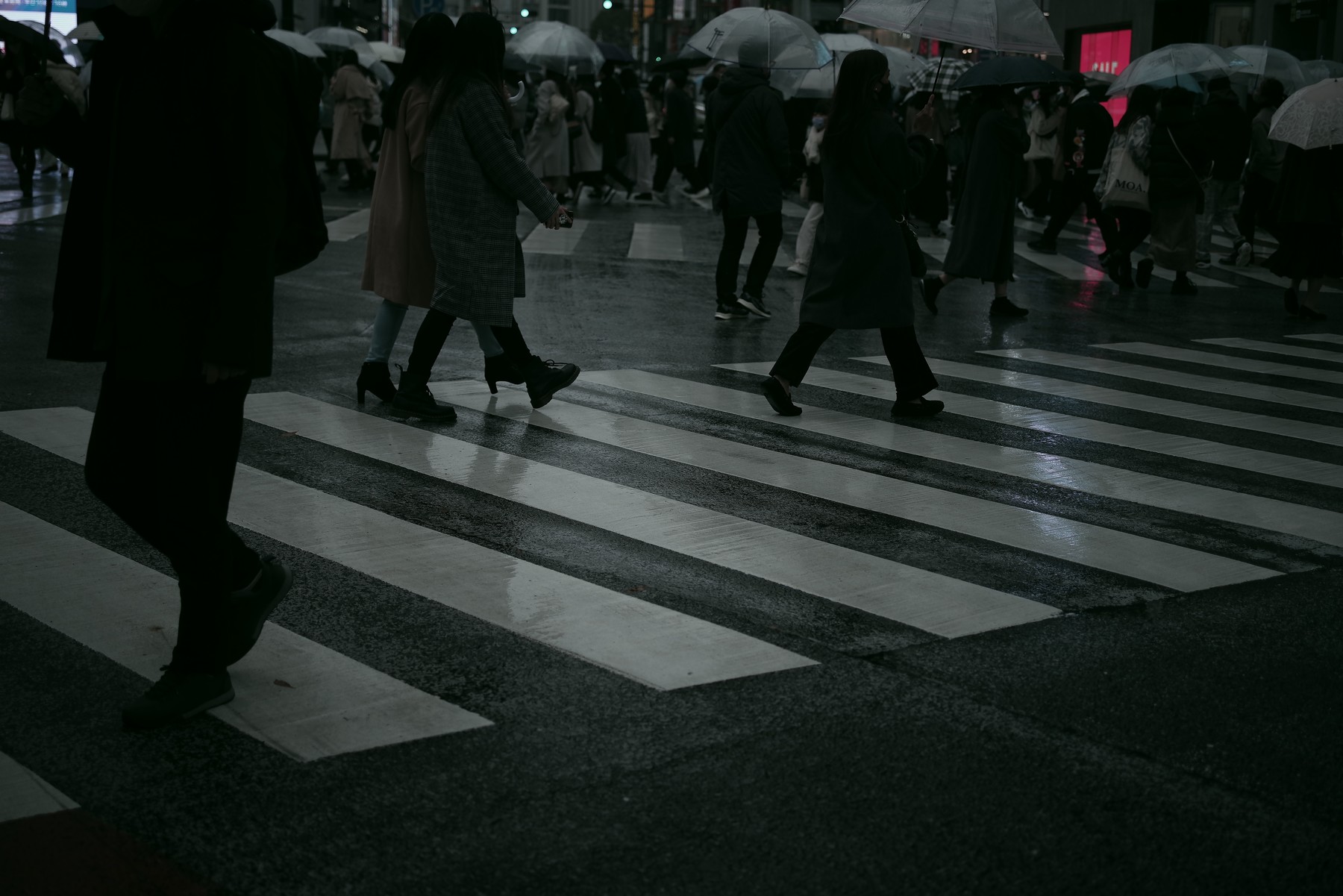 雨と週末の作例写真