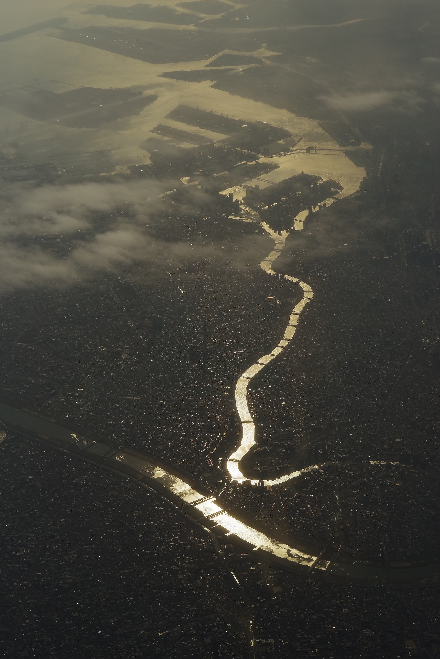 上空から眺める荒川と隅田川の作例写真