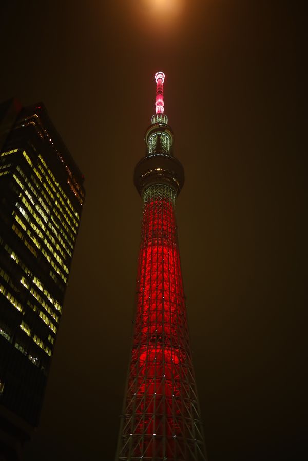 上からライトで照らされたスカイツリーの夜景の作例写真