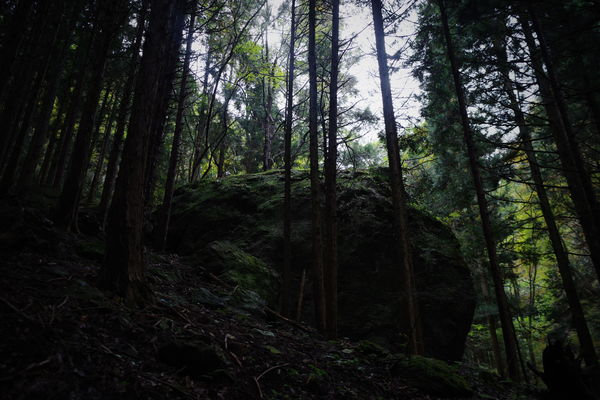 山中の大岩の作例写真