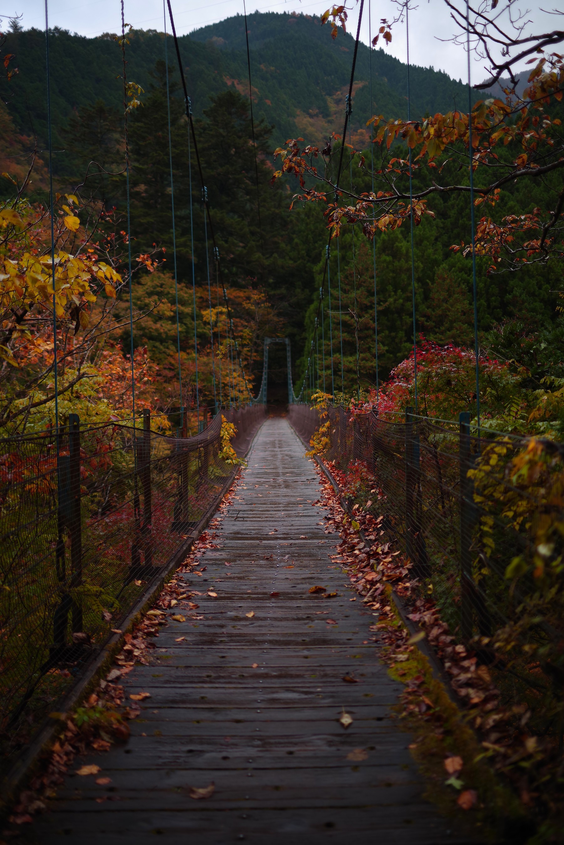 奥多摩の道所橋（どうところばし）の作例写真