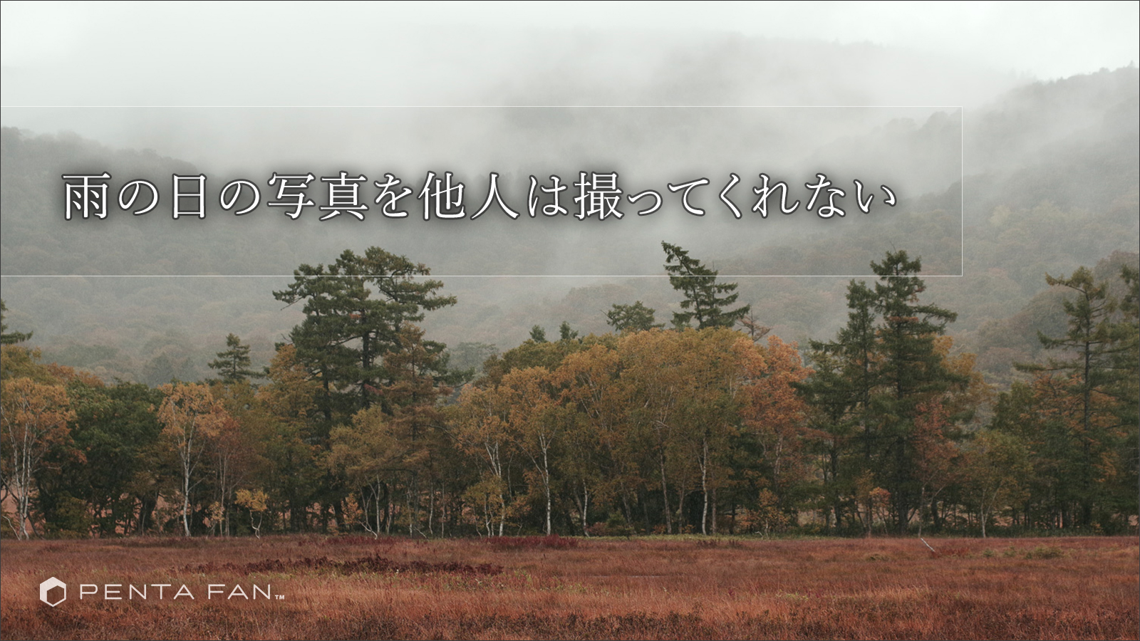 【雨にうたえば】雨の尾瀬は俺が撮る