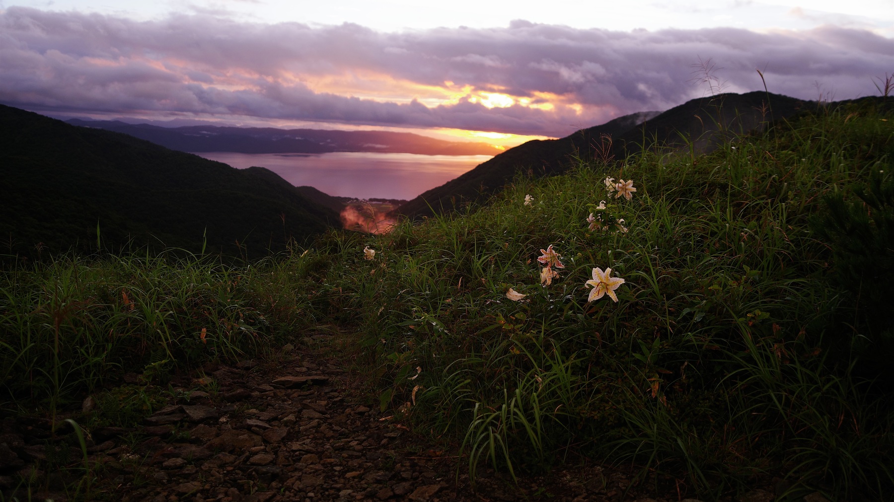 夕焼け御霊櫃峠とヤマユリの作例写真