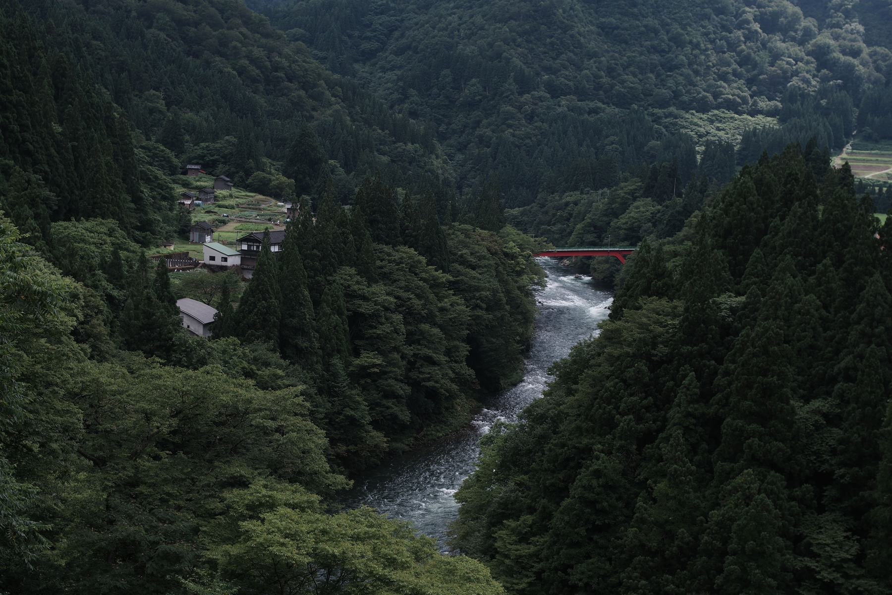 渓谷と庄川峡の作例写真